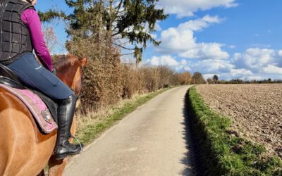 1.März + Sonntag + Sonne = eine kleine Auszeit !